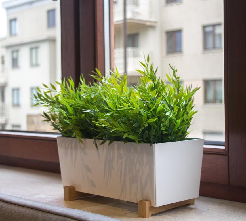 Apartament Jelitkowski Dwór Apartament *